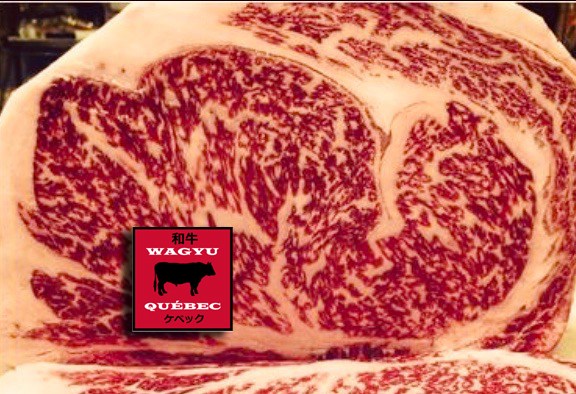 rib-steak-wagyu-quebec2